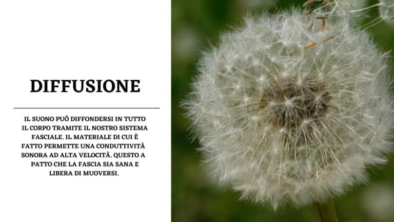 soffione + descrizione della parola del giorno: diffusione
