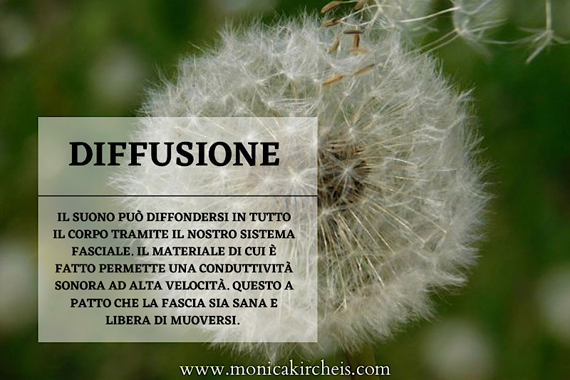 soffione + descrizione parola del giorno: diffusione