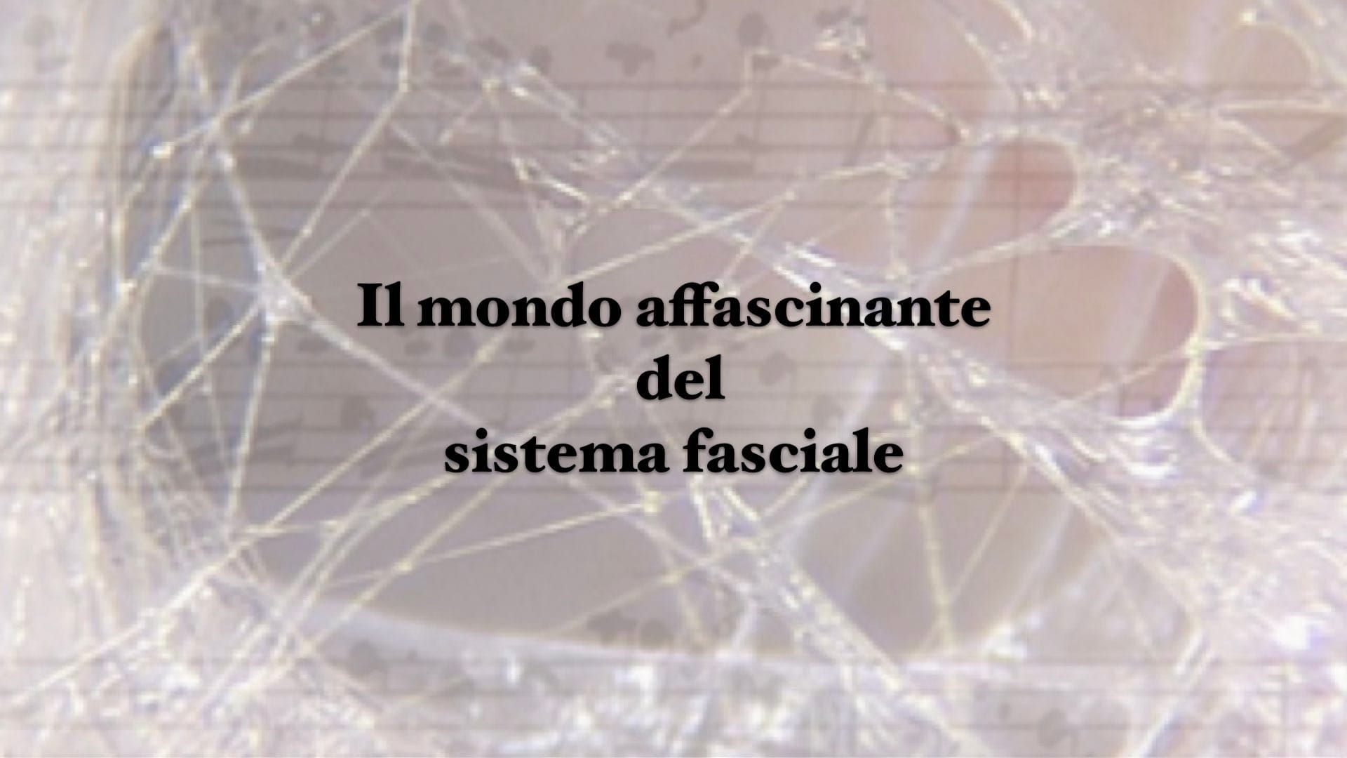 Il mondo affascinante del sistema fasciale